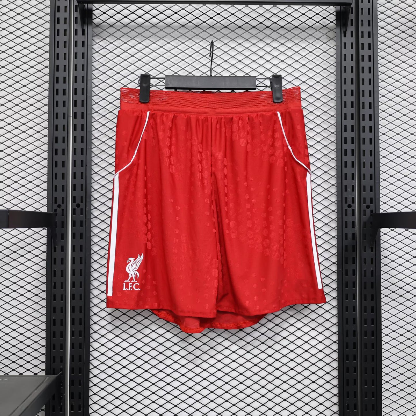 Liverpool Shorts
